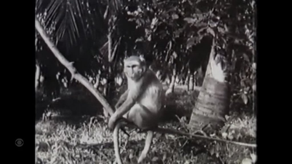 [Image: 35mowhnu39ub.jpg]