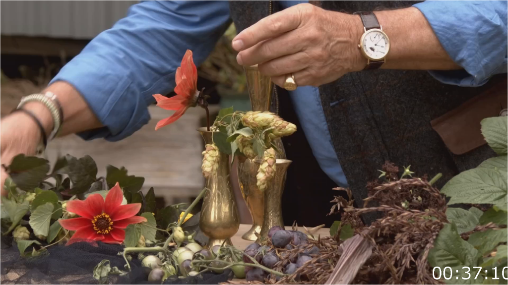 [Image: kblhi9d8l2u9.png]