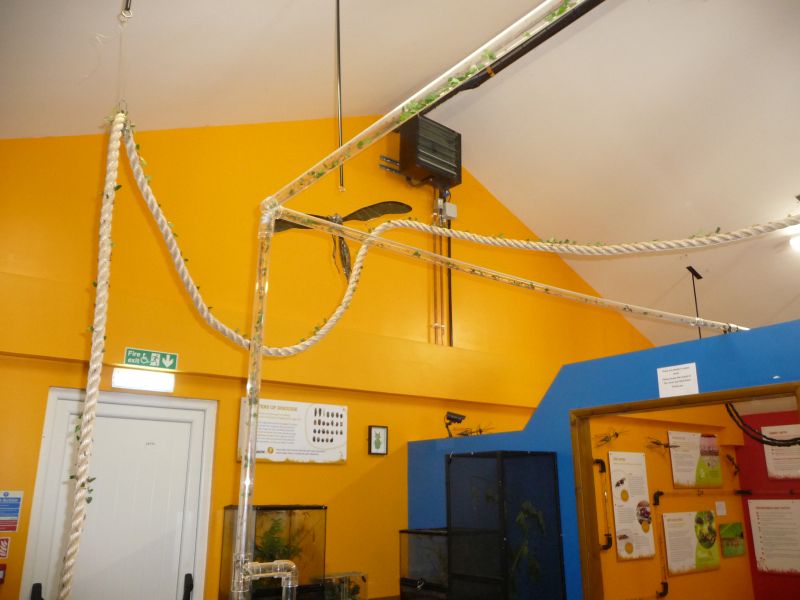 Inverts3.jpg