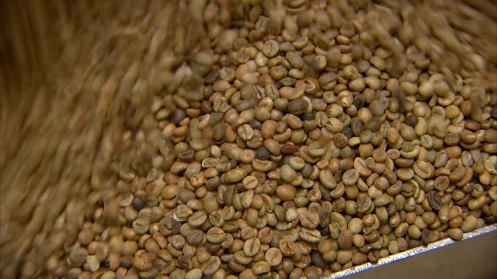 BBC This World 2014 The Coffee Trail | En [1080p] HDTV (x265) 9l4zp6mt5ird