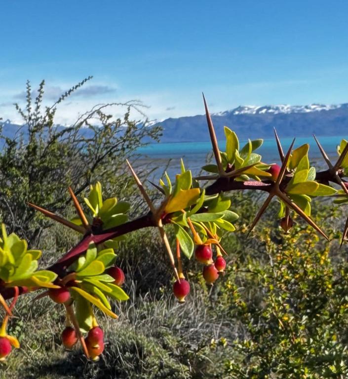 В джазе только девушки или аргентинско-бразильский калейдоскоп В джазе только девушки или аргентинско-бразильский калейдоскоп