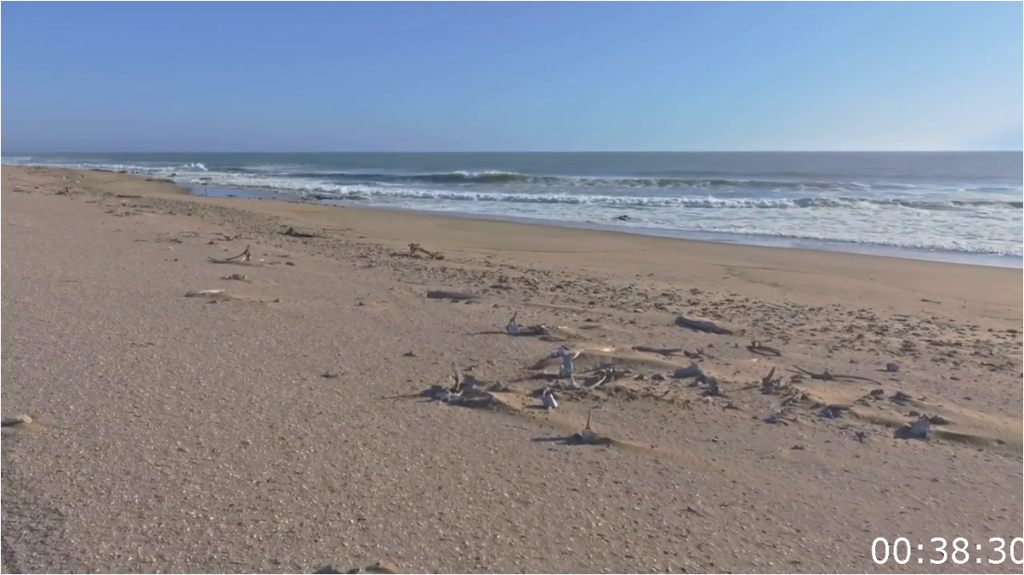 [Image: acub2le48a9k.png]