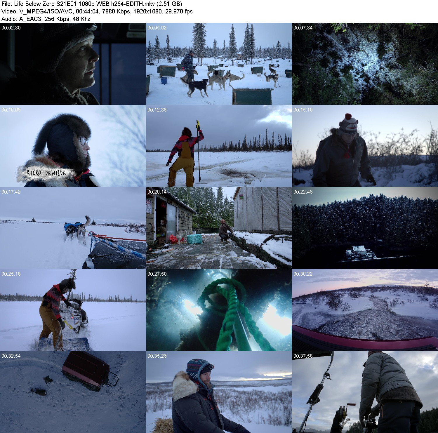 [Image: s6drf8g8jot9.jpg]