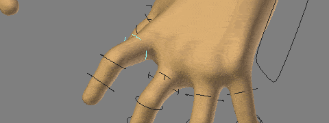 c-oxfox-hands-direct.gif