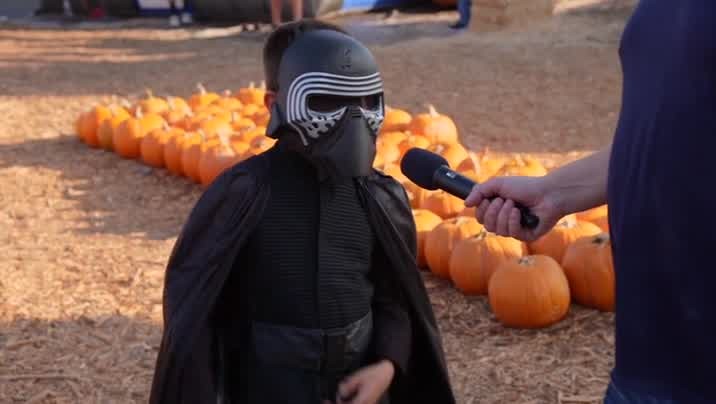 [Image: p4u2fudo10pf.jpg]