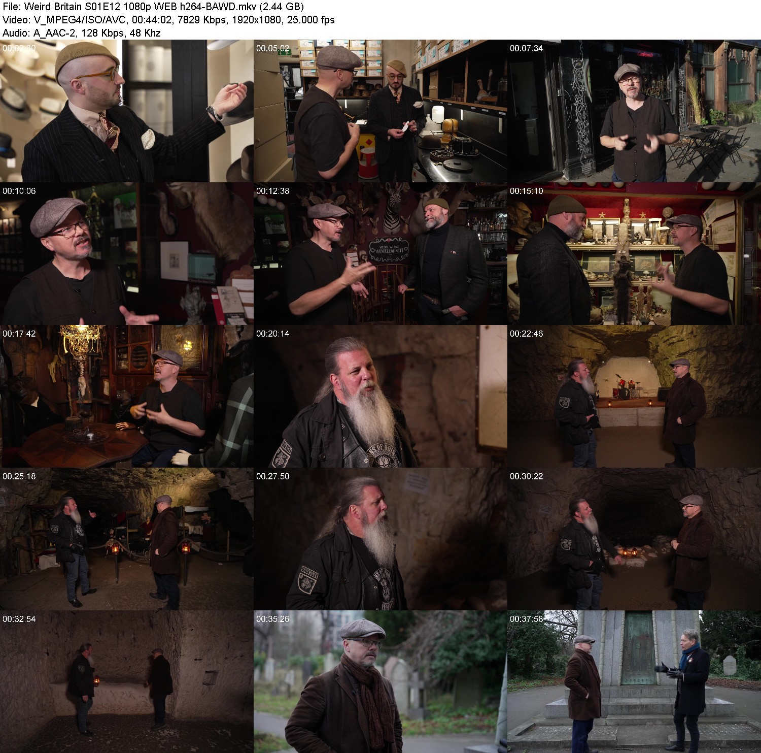 [Image: 2zdtuuih272i.jpg]