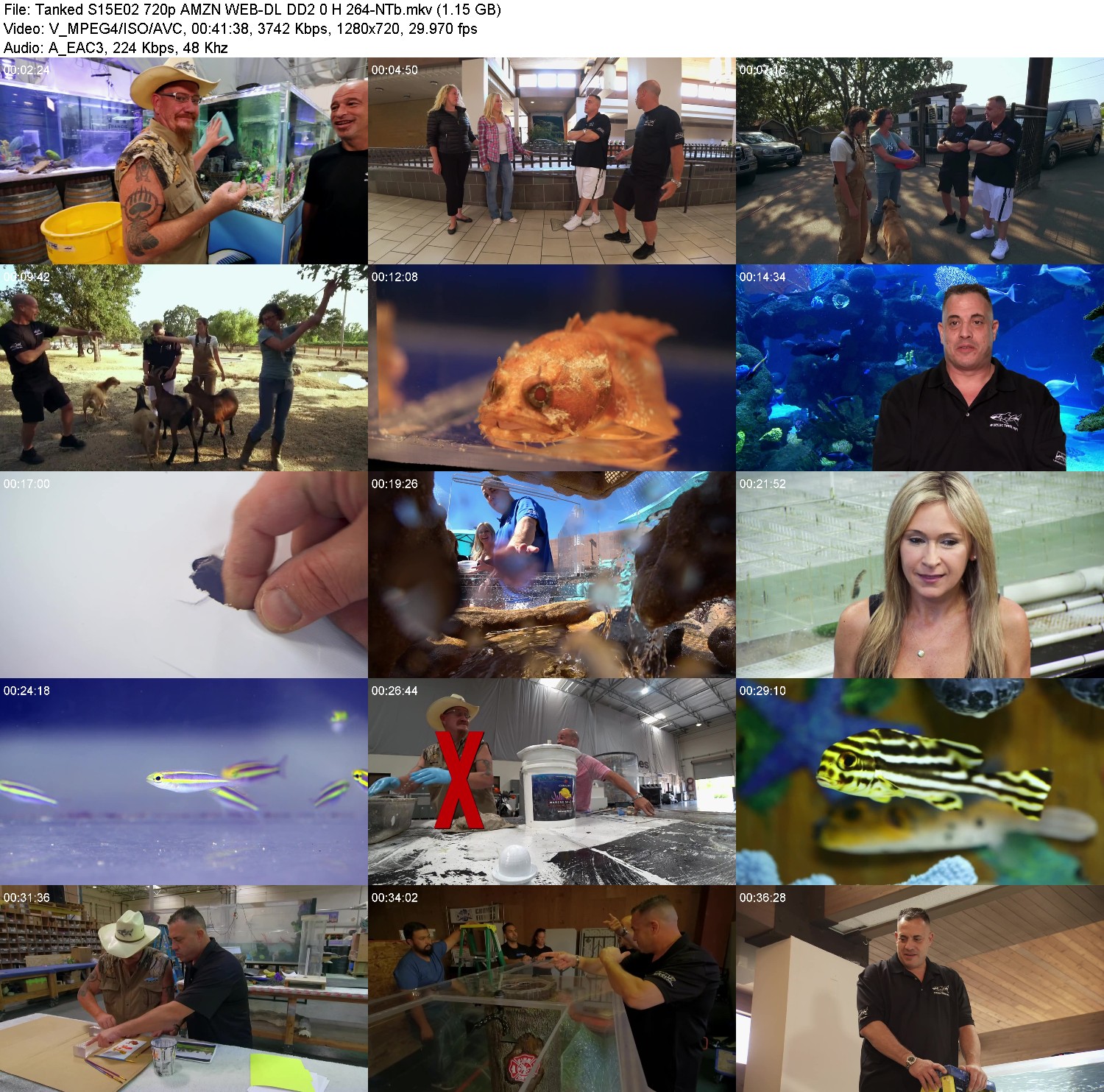 [Image: 61nhvsmmpm54.jpg]