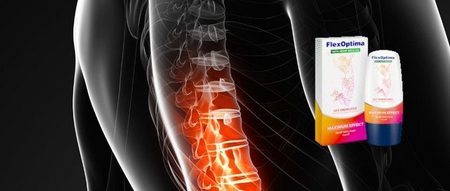 FlexOptima това, което ще намерите във форум?