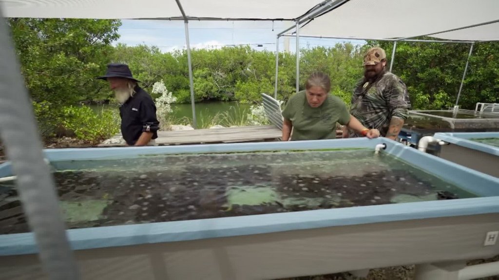 [Image: 9ghkc7z3b2or.jpg]