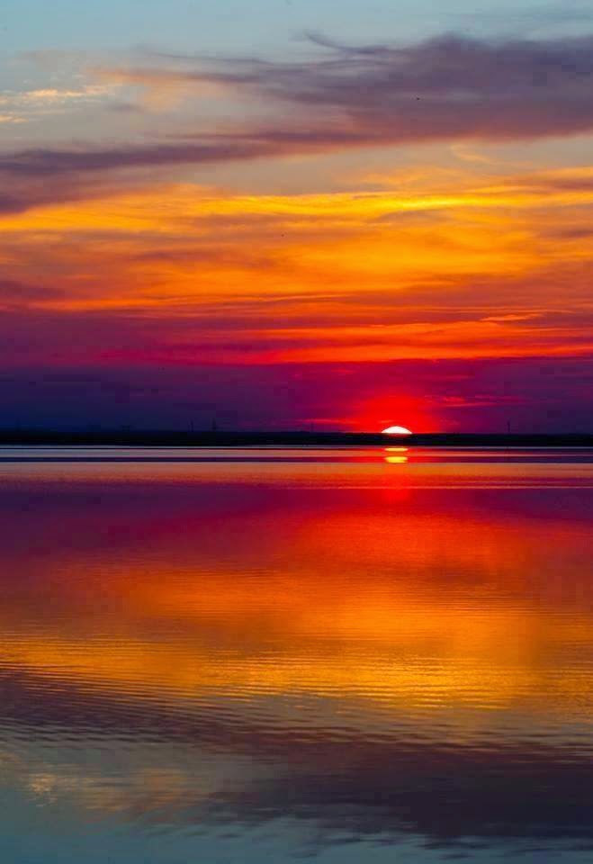 ���� ���� ������ �� ���� ������