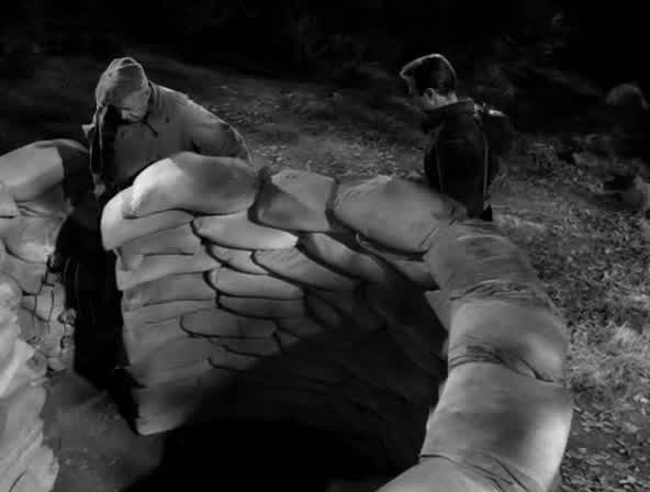 [Image: bojhr4xww342.jpg]