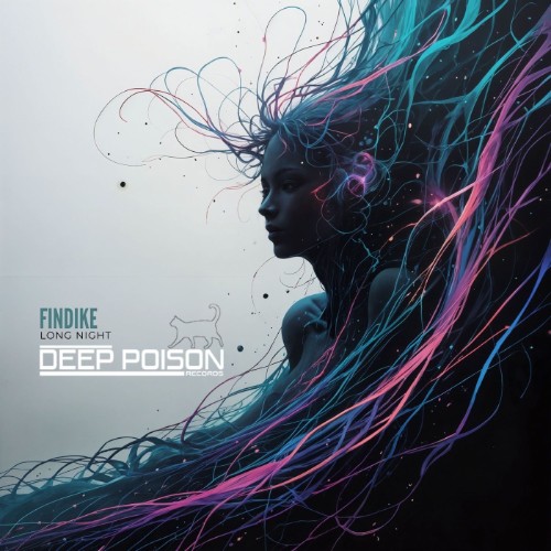 00-findike-long-night-dpr0010-single-web