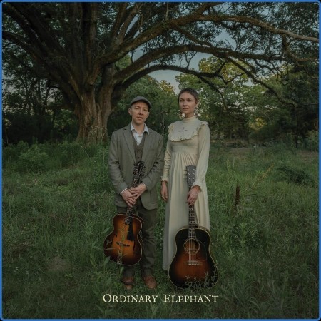 Ordinary Elephant - Ordinary Elephant ((2024))