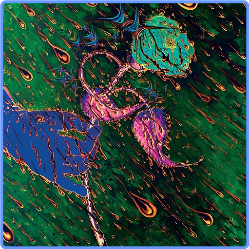 Grave Flowers Bongo Band - Strength of Spring (2021) FLAC LossLess