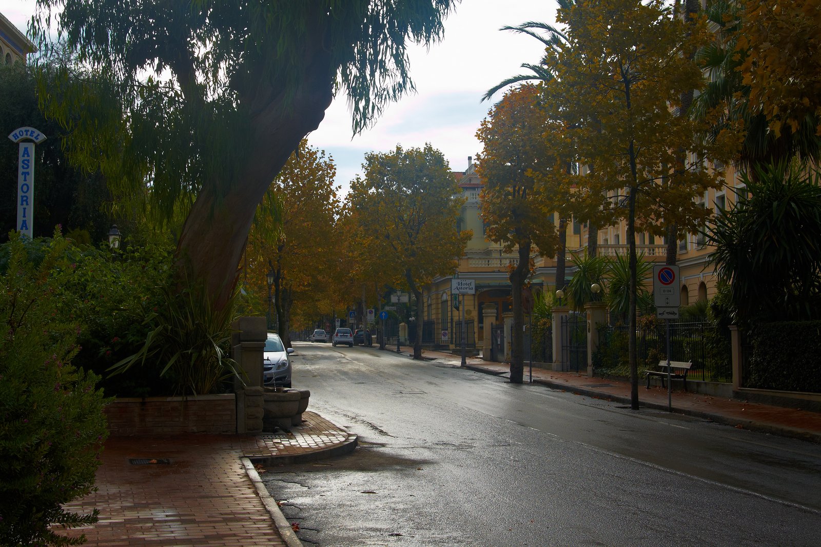 294750.jpg