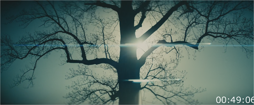 [Image: i66fghp6m4ud.png]