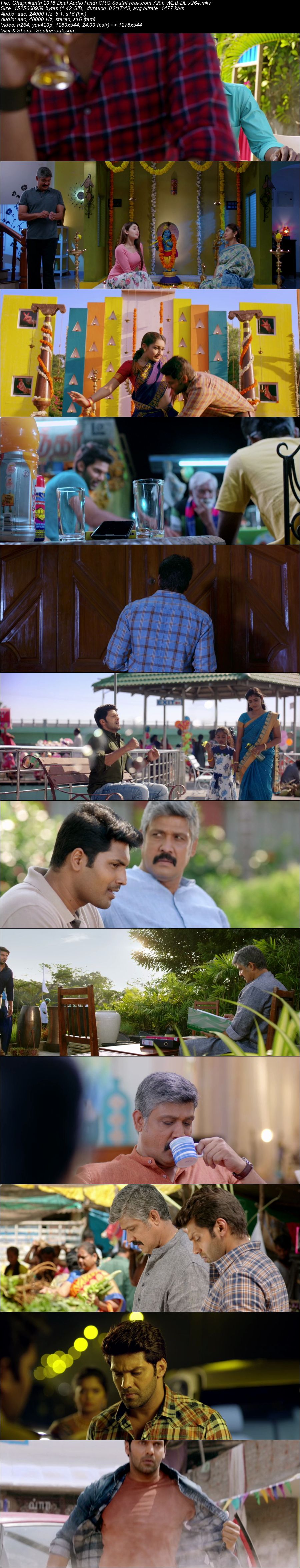 Ghajinikanth 2018 Dual Audio Hindi ORG South Freak com 720p WEB DL - hdhubflix, hubflix, hdmovieshub, allmovieshub