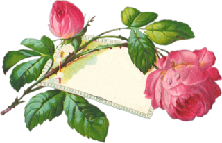 0-bb727-5c38961b-orig.png
