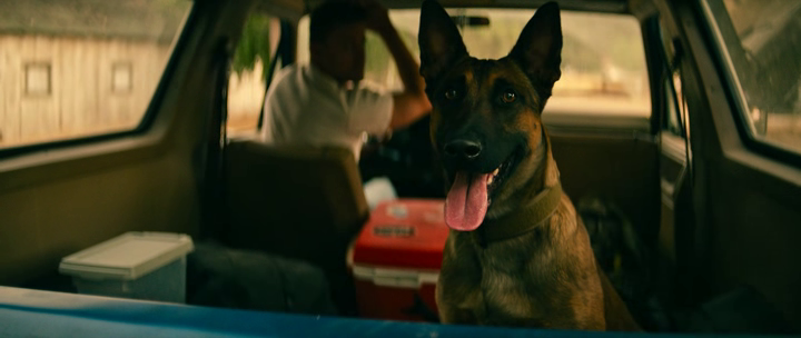 vlcsnap-2022-09-02-18h08m26s094