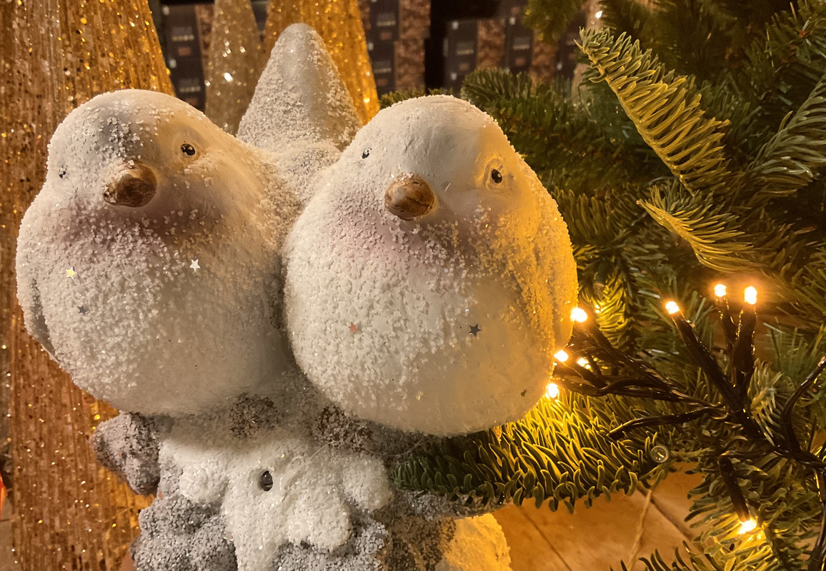 5D342A8D-35C9-4980-A0C0-8DF3A1022023