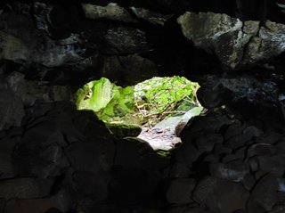 Ana Kakenga - Ana Te Pora - Ana Te Pahu - Ahu Huri a Urenga - Hanga Roa - Isla de Pascua - Chile (15)