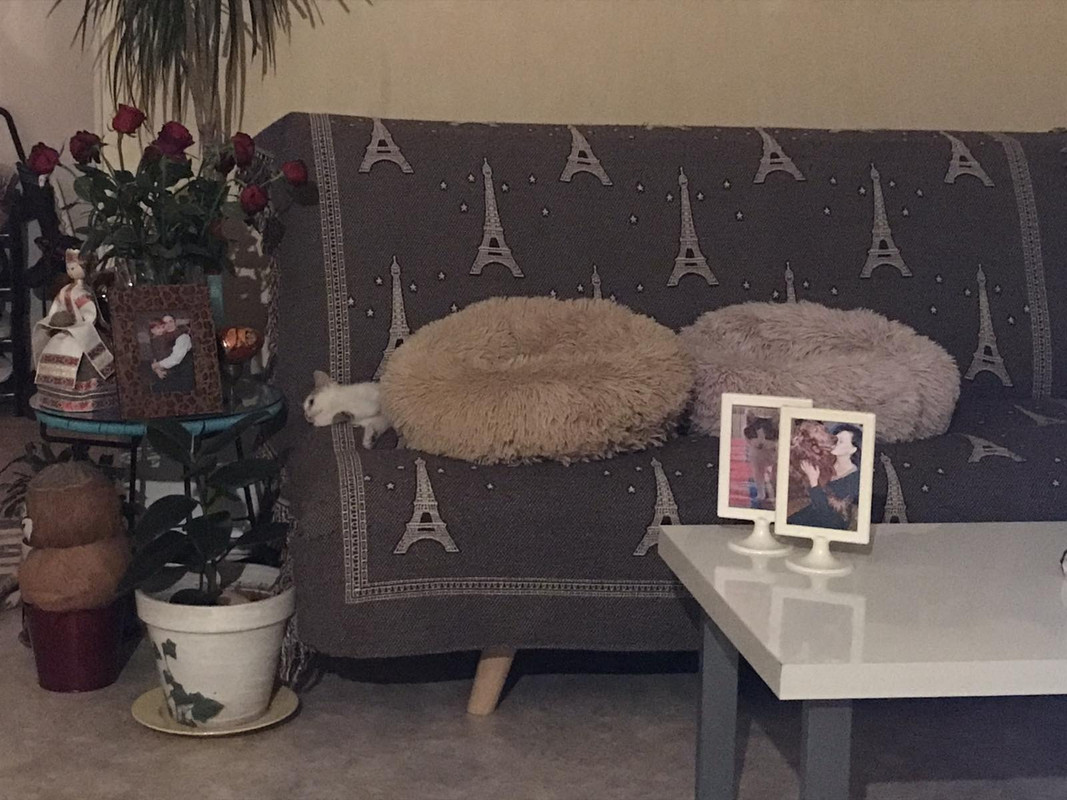 D7B4680A-EAC4-4892-B3F5-9CEDB3C0FAF7