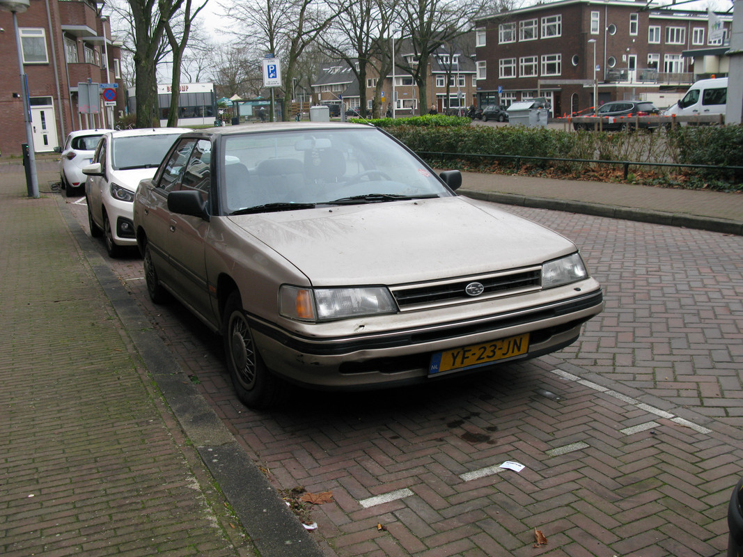 IMG-6620.jpg