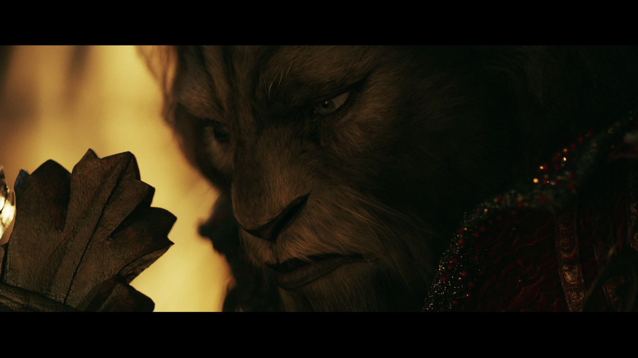 vlcsnap-2020-07-18-08h31m53s213