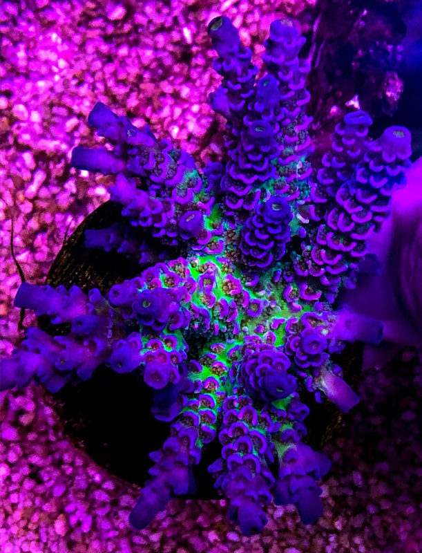 C9827B07-BD4B-4FF8-9CD5-977531423579