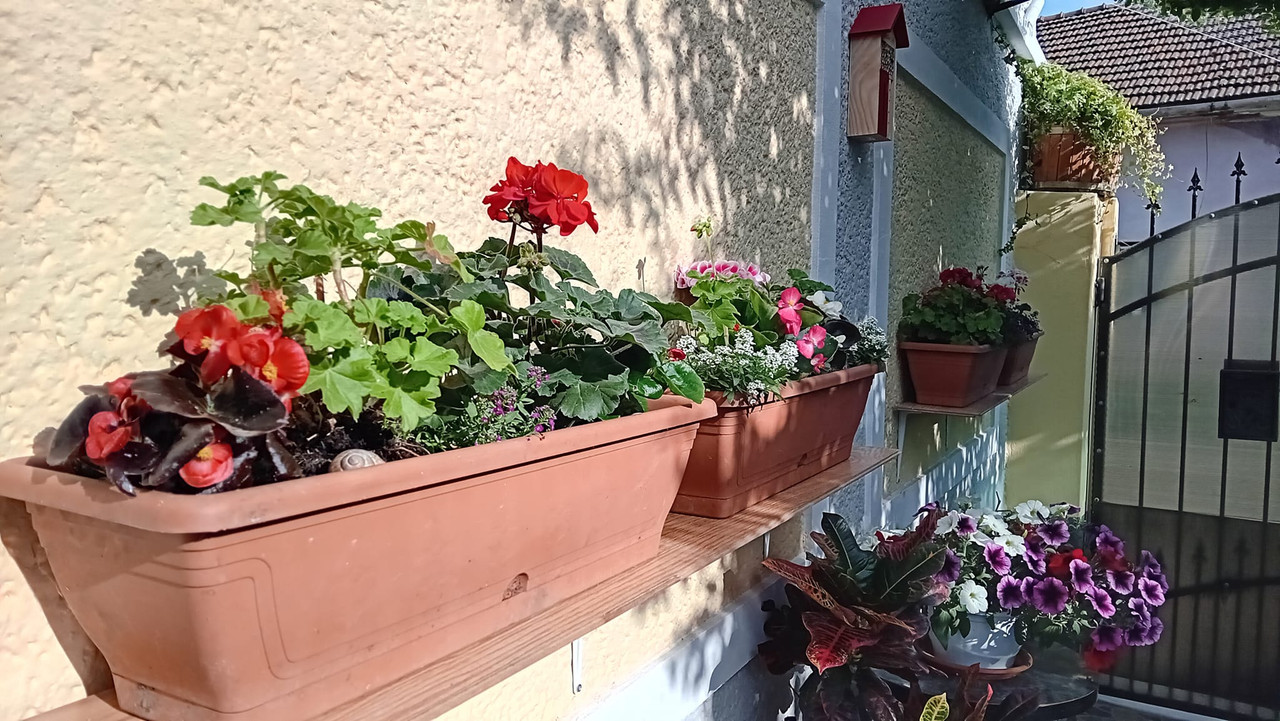 440849964_10228550609127613_7345153349973597653_n