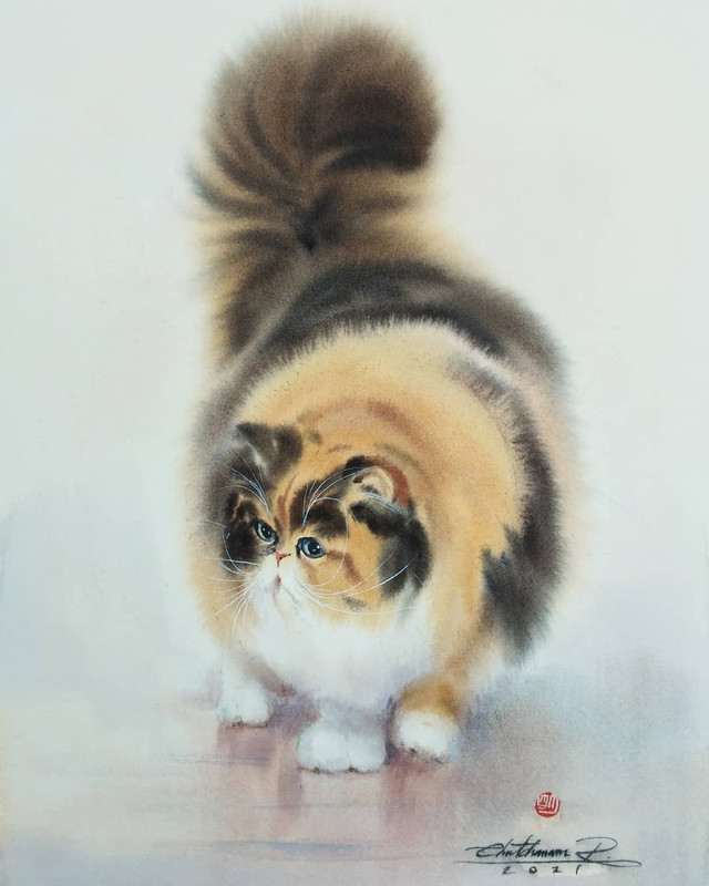 07