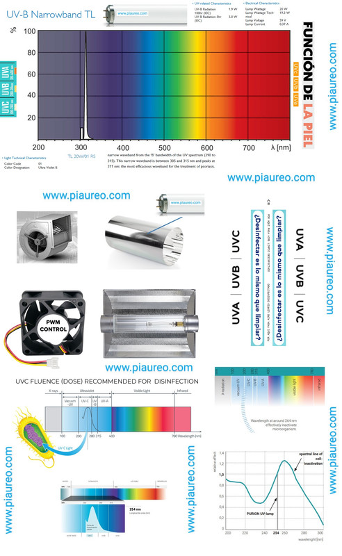 _chileexpert.cl_chiletechnical.cl_chiletechnician.cl_chiletecnica.cl_chiletecnicas.cl_chiletecnico.c