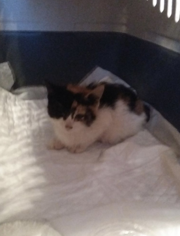 691BBAD9-21E3-450E-8A39-21413D949B71