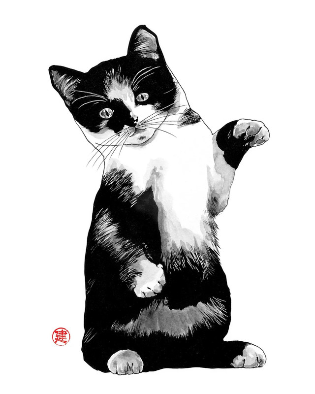 23