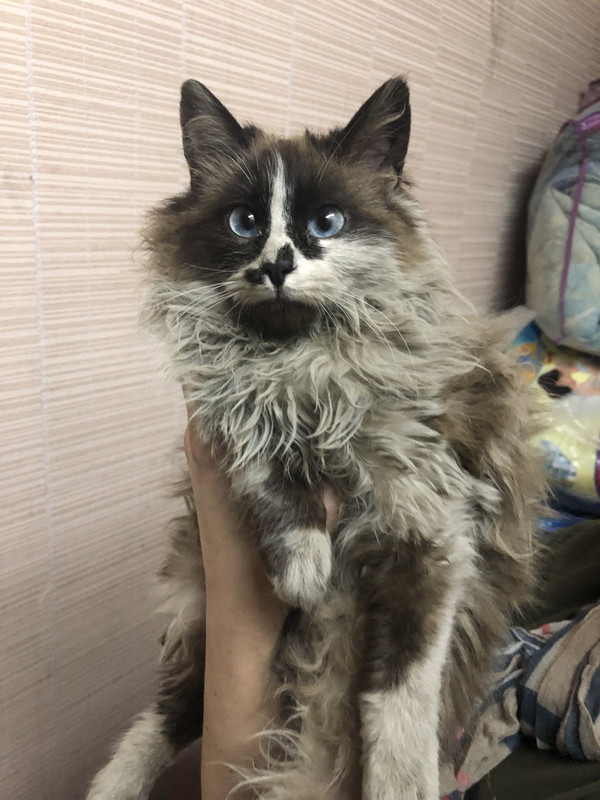 229BEF59-9DB6-47A1-8D78-A611AE39A5F1