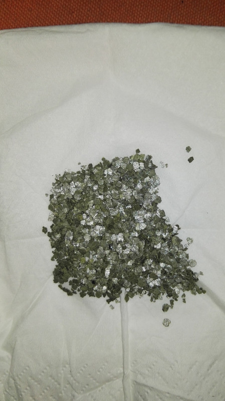 IMG_20230325_114256 (1)