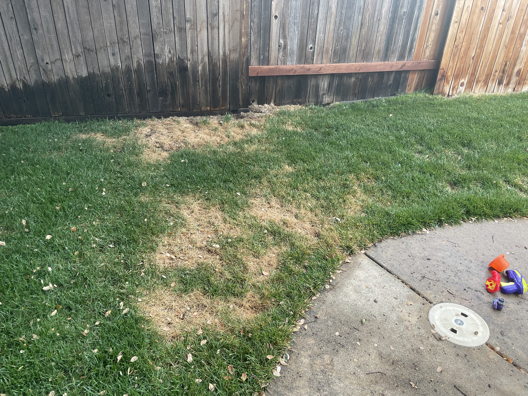 DAAFF925-C476-48CC-81A7-3D2B920320A7