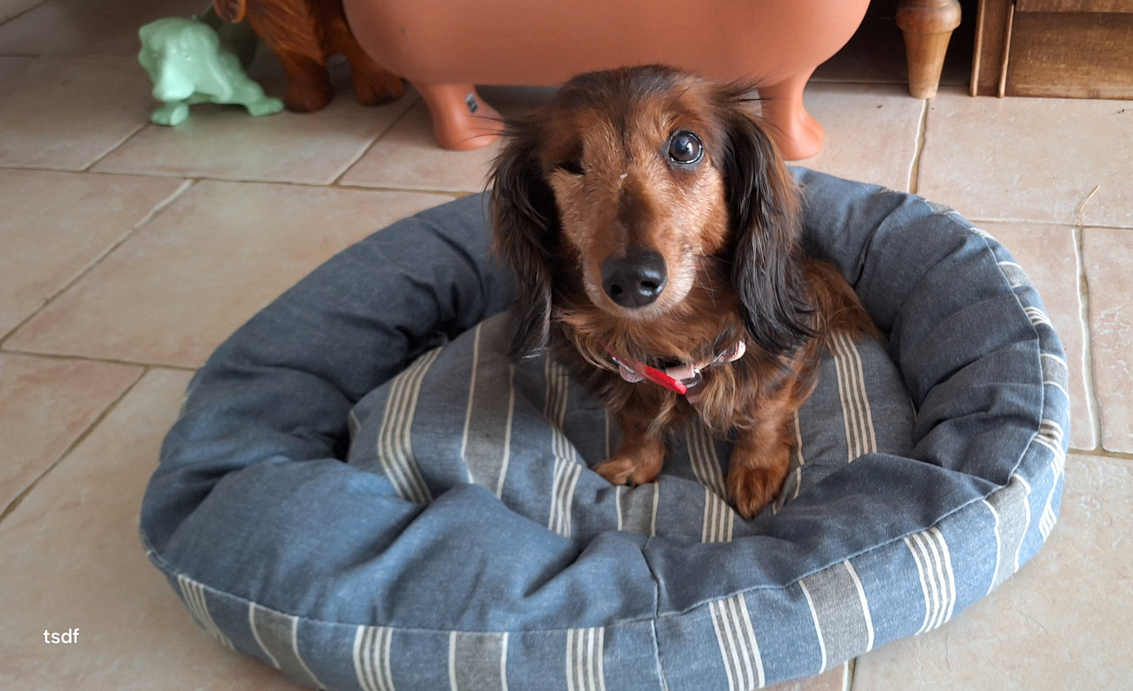 [Image: 20250607-104451.jpg]