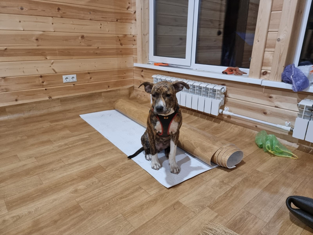 B5922451-B2C7-46A7-A2CE-69595E1A39CC