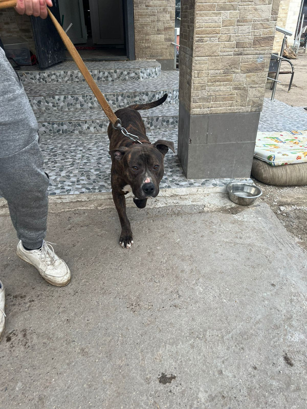 WhatsApp Image 2024-04-07 at 17.21.54 (1)