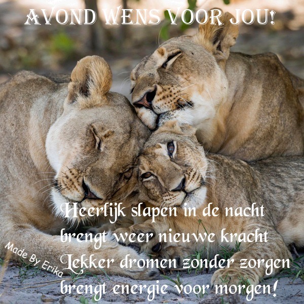 05F07123-8C48-4CDD-A0BA-48FE08ADB7AB