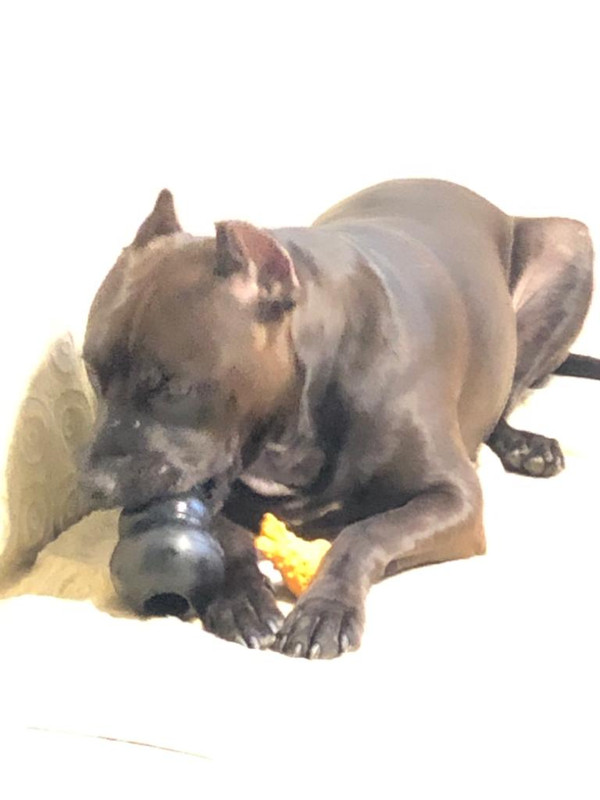 4BA824D2-4880-4C34-8EA6-635784AB712D