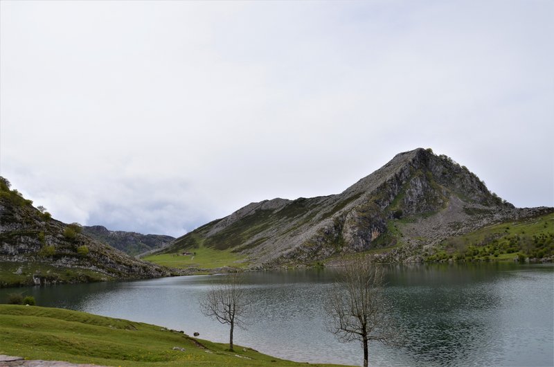 PICOS DE EUROPA-16-5-2013-LEON/ASTURIAS/CANTABRIA - Paseando por España-1991/2016 (12)