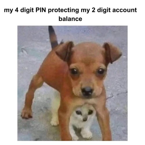 50th.jpg