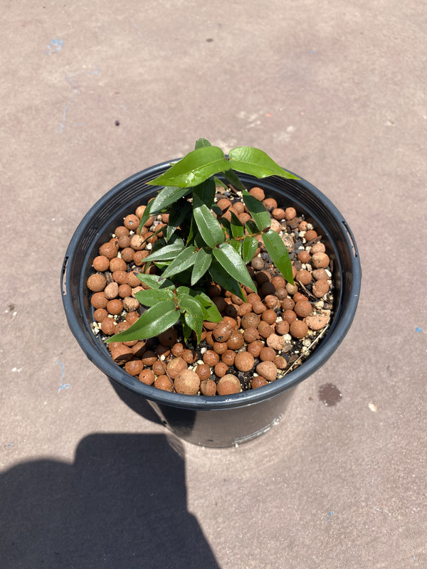 1A0D0402-8403-416E-BC06-26D3CBC514D0