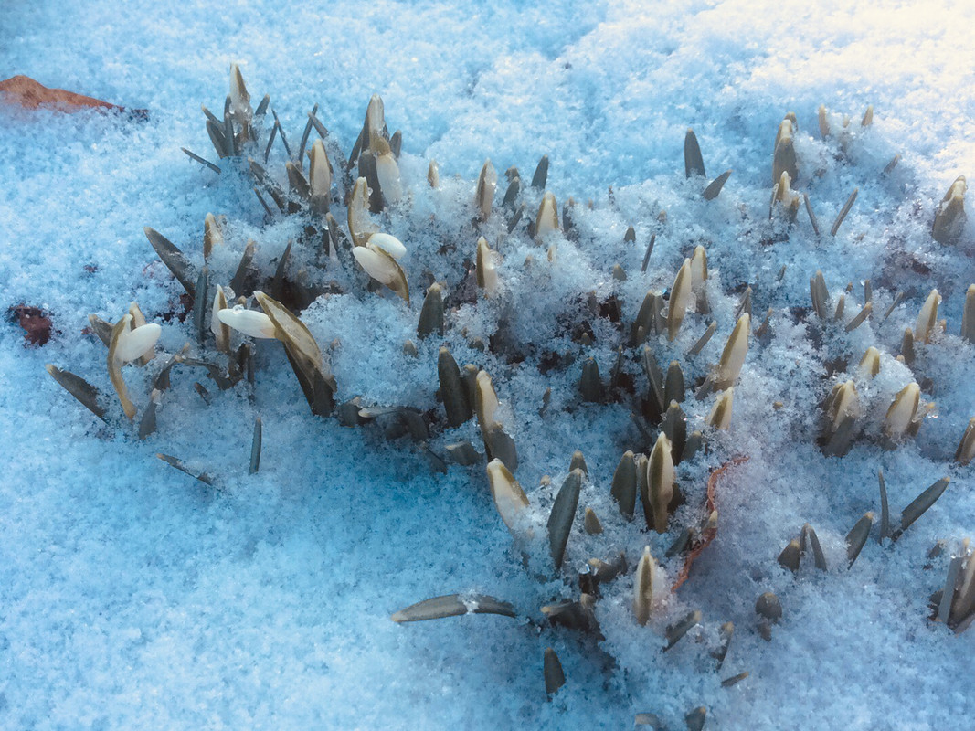 C10818AD-7295-4A0E-9334-73F6A7C79D41