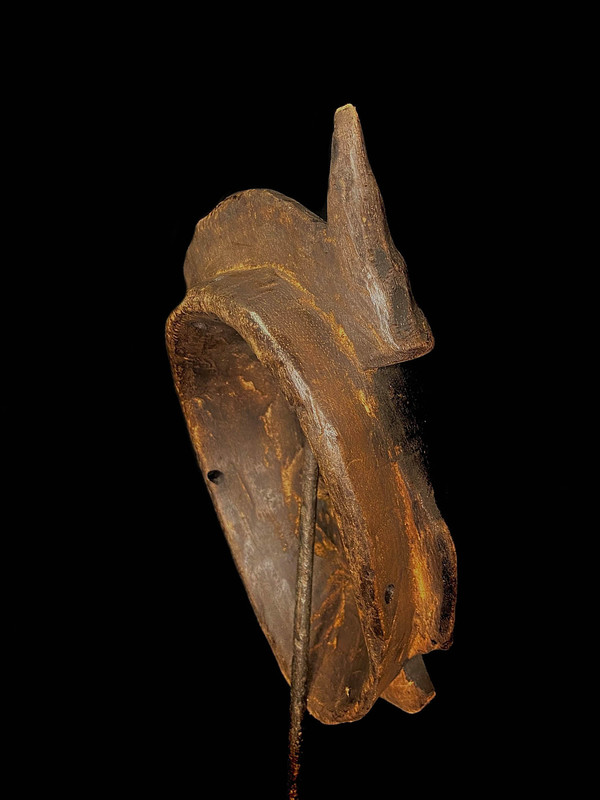 large image 12