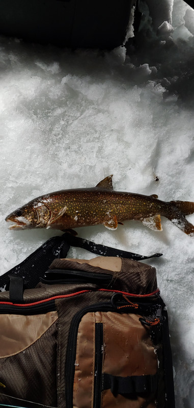 0125200934c