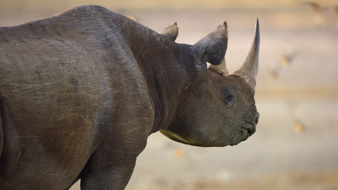 vlcsnap-2023-10-26-20h22m58s229