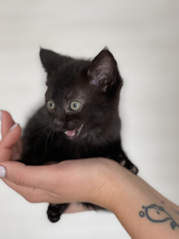 DA90D1C6-2B97-48B0-8C6D-259FDAEC67CE